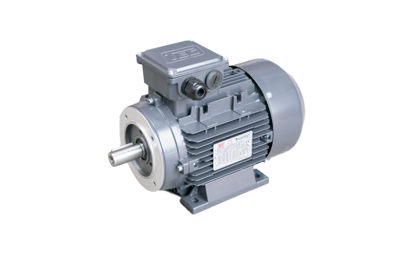 4kW 6 Pole Foot and Face Mounted Motor